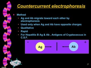 Countercurrent electrophoresis Method Ag and Ab migrate toward each other by electrophoresis Used only when Ag and Ab have opposite charges Qualitative Rapid For Hepatitis B Ag & Ab , Antigens of Cryptococcus in C.S.F. Ag Ab - + 