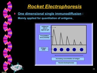 Rocket Electrophoresis One dimensional single immunodiffusion  :  Mainly applied for quantitation of antigens.   