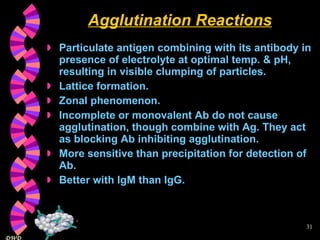 Agglutination Reactions Particulate antigen combining with its antibody in presence of electrolyte at optimal temp. & pH, resulting in visible clumping of particles. Lattice formation. Zonal phenomenon. Incomplete or monovalent Ab do not cause agglutination, though combine with Ag. They act as blocking Ab inhibiting agglutination. More sensitive than precipitation for detection of Ab. Better with IgM than IgG. 