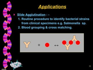 Applications Slide Agglutination  : -  1. Routine procedure to identify bacterial strains    from clinical specimens e.g. Salmonella  sp.   2. Blood grouping & cross matching.   Y Y Y + ↔ 