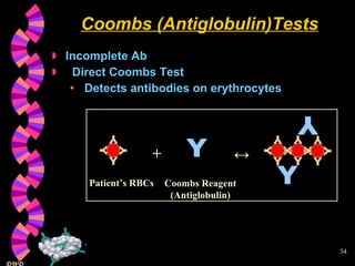 Coombs (Antiglobulin)Tests Incomplete Ab Direct Coombs Test Detects antibodies on erythrocytes + ↔ Y Y Y Y Y Y Y Y Y Y Y Y Y Y Y Y Y Y Y Patient’s RBCs Coombs Reagent (Antiglobulin) 