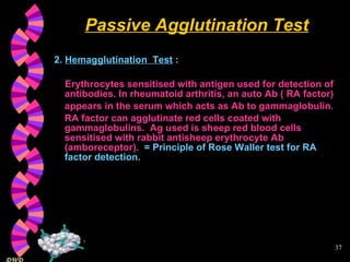 Passive Agglutination Test 2.  Hemagglutination  Test  : Erythrocytes sensitised with antigen used for detection of antibodies. In rheumatoid arthritis, an auto Ab ( RA factor) appears in the serum which acts as Ab to gammaglobulin. RA factor can agglutinate red cells coated with gammaglobulins.  Ag used is sheep red blood cells sensitised with rabbit antisheep erythrocyte Ab (amboreceptor).  = Principle of Rose Waller test for RA factor detection. 