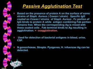 Passive Agglutination Test Based on the presence of protein A on the surface of some strains of  Staph. Aureus ( Cowan I strain) . Specific IgG coated on Cowan I strains  of Staph. Aureus .  Fc portion of IgG binds to protein A while  antigen combining Fab portion remains free. When the corresponding Ag is mixed with these coated cells , Fab terminal binds to Ag resulting in agglutination.  =  coagglutination. Used for detection of bacterial antigens in blood, urine, CSF.  N.gonorrhoeae, Strepto. Pyogenes, H. infuenzae Ag can be detected. 
