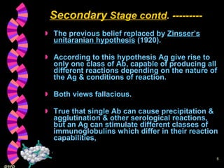 Secondary  Stage contd . --------- The previous belief replaced by  Zinsser’s unitaranian hypothesis  (1920). According to this hypothesis Ag give rise to only one class of Ab, capable of producing all different reactions depending on the nature of the Ag & conditions of reaction. Both views fallacious. True that single Ab can cause precipitation & agglutination & other serological reactions, but an Ag can stimulate different classes of immunoglobulins which differ in their reaction capabilities, 