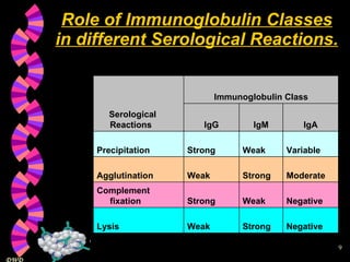 Role of Immunoglobulin Classes in different Serological Reactions. Negative Strong Weak Lysis Negative Weak Strong Complement fixation Moderate Strong Weak Agglutination Variable Weak Strong Precipitation IgA IgM IgG Immunoglobulin Class Serological  Reactions 