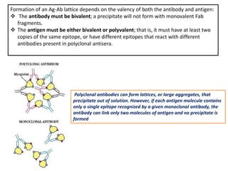 Formation of an Ag-Ab lattice depends on the valency of both the antibody and antigen:
 The antibody must be bivalent; a precipitate will not form with monovalent Fab
fragments.
 The antigen must be either bivalent or polyvalent; that is, it must have at least two
copies of the same epitope, or have different epitopes that react with different
antibodies present in polyclonal antisera.
Polyclonal antibodies can form lattices, or large aggregates, that
precipitate out of solution. However, if each antigen molecule contains
only a single epitope recognized by a given monoclonal antibody, the
antibody can link only two molecules of antigen and no precipitate is
formed
 
