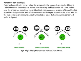 Pattern of Non-Identity: Z
Pattern of non-identity occurs when the antigens in the two wells are totally different.
They are neither cross reactive, nor do they have any epitopes which are same. In this
case the antiserum containing the antibodies is heterogeneous as some of the antibodies
react with antigen in one well while some react with antigen present in the other well. So
the two antigens are immunologically unrelated as far as that antiserum is concerned
(refer to Figure).
 