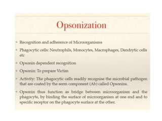 Ag-Ab interaction.pptx