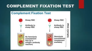 antigen - antibody reaction for nurses.pptx