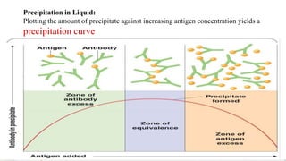 Postzone Antigen antibody reaction | PPT