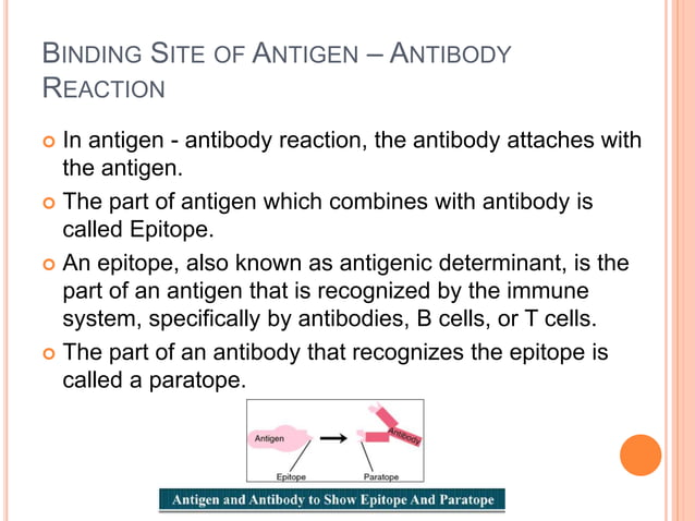 Ag ab reactions | PPTX | Chemistry | Science