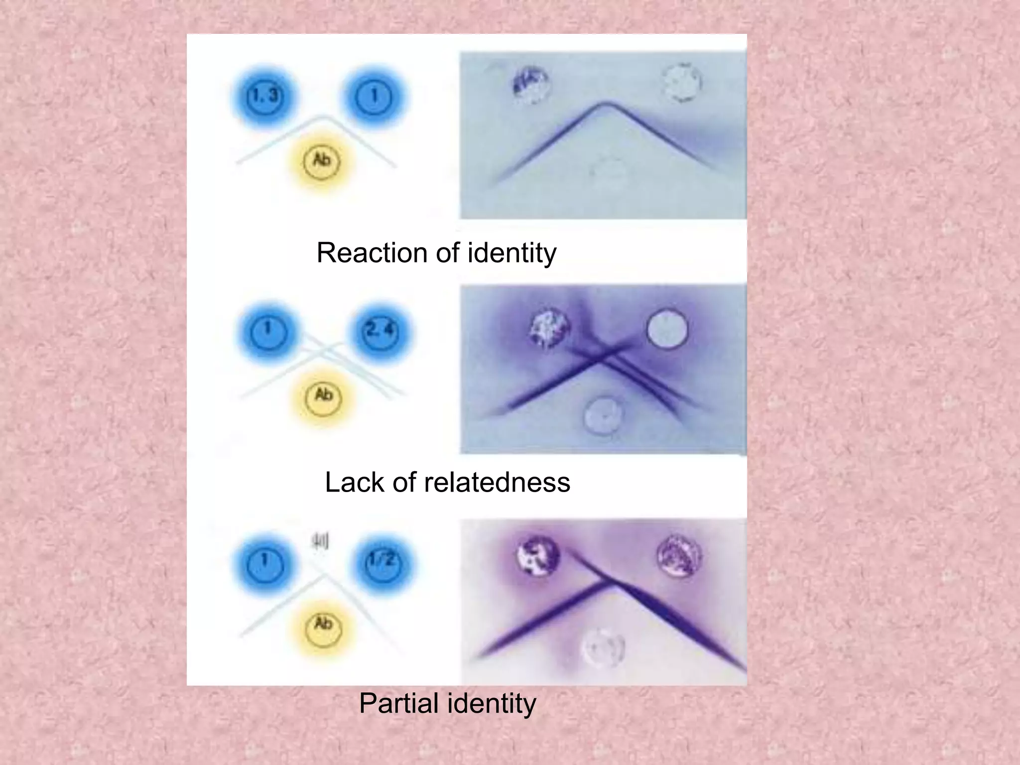 Reaction of identity
Partial identity
Lack of relatedness
 