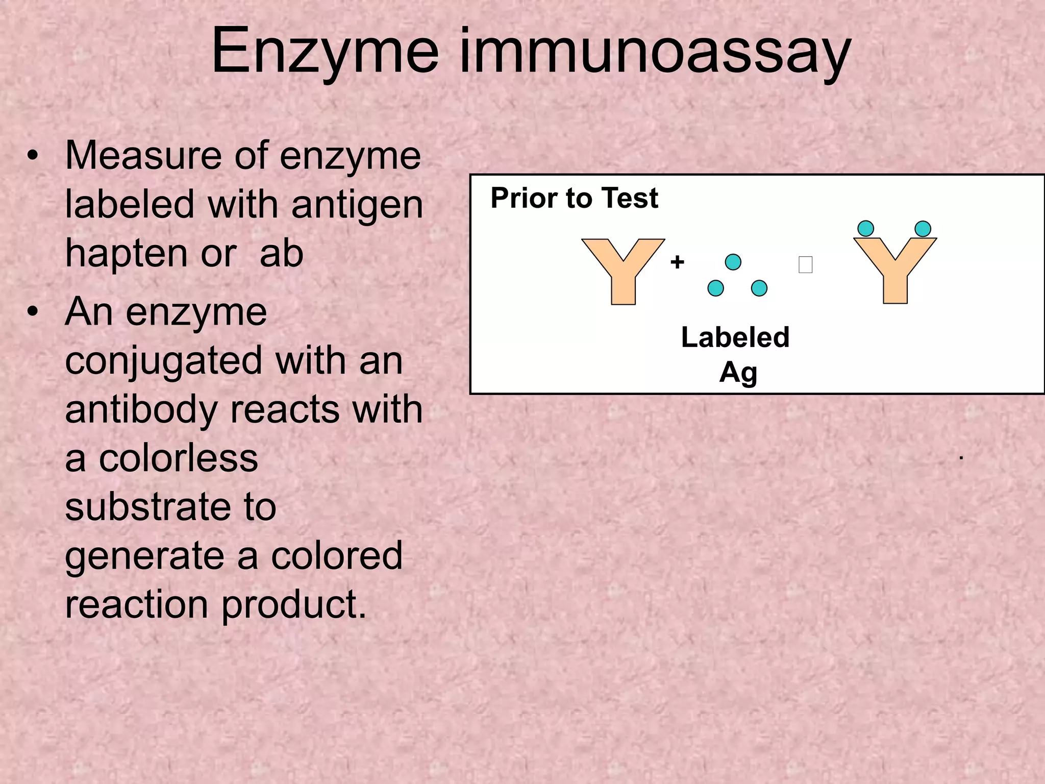 Enzyme immunoassay
• Measure of enzyme
labeled with antigen
hapten or ab
• An enzyme
conjugated with an
antibody reacts with
a colorless
substrate to
generate a colored
reaction product.
+
Prior to Test
Labeled
Ag
.
 