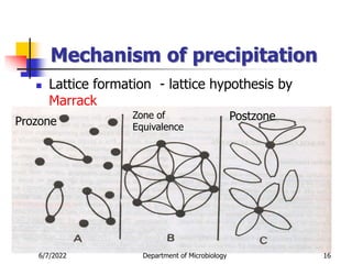 Mechanism of precipitation
 Lattice formation - lattice hypothesis by
Marrack
6/7/2022 Department of Microbiology 16
Prozone Postzone
Zone of
Equivalence
 