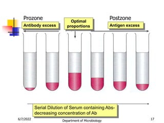 Antibody excess
Optimal
proportions Antigen excess
Serial Dilution of Serum containing Abs-
decreasing concentration of Ab
6/7/2022 Department of Microbiology 17
Prozone Postzone
 