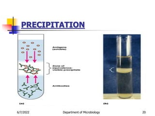 6/7/2022 Department of Microbiology 20
PRECIPITATION
 