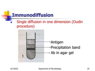 Immunodiffusion
 Single diffusion in one dimension (Oudin
procedure)
Antigen
Precipitation band
Ab in agar gel
6/7/2022 Department of Microbiology 25
 