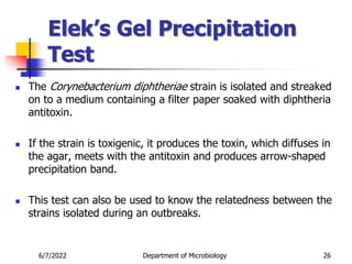 Elek’s Gel Precipitation
Test
 The Corynebacterium diphtheriae strain is isolated and streaked
on to a medium containing a filter paper soaked with diphtheria
antitoxin.
 If the strain is toxigenic, it produces the toxin, which diffuses in
the agar, meets with the antitoxin and produces arrow-shaped
precipitation band.
 This test can also be used to know the relatedness between the
strains isolated during an outbreaks.
6/7/2022 Department of Microbiology 26
 