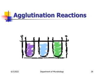 Agglutination Reactions
6/7/2022 Department of Microbiology 28
 