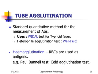 TUBE AGGLUTINATION
 Standard quantitative method for the
measurement of Abs.
 Uses : WIDAL test for Typhoid fever.
 Heterophile agglutination test : Weil-Felix
 Haemagglutination – RBCs are used as
antigens.
e.g. Paul Bunnell test, Cold agglutination test.
6/7/2022 Department of Microbiology 31
 