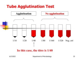 No agglutination
Agglutination
1/10 1/20 1/40 1/80 1/160 1/320 Neg. ctrl
In this case, the titre is 1/40
Tube Agglutination Test
6/7/2022 Department of Microbiology 33
 