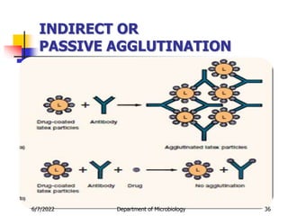 6/7/2022 Department of Microbiology 36
INDIRECT OR
PASSIVE AGGLUTINATION
 