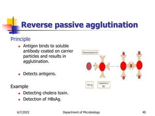 Reverse passive agglutination
Principle
 Antigen binds to soluble
antibody coated on carrier
particles and results in
agglutination.
 Detects antigens.
Example
 Detecting cholera toxin.
 Detection of HBsAg.
40
6/7/2022 Department of Microbiology
 