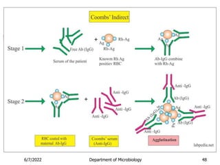 6/7/2022 Department of Microbiology 48
 