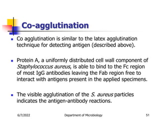 Co-agglutination
 Co agglutination is similar to the latex agglutination
technique for detecting antigen (described above).
 Protein A, a uniformly distributed cell wall component of
Staphylococcus aureus, is able to bind to the Fc region
of most IgG antibodies leaving the Fab region free to
interact with antigens present in the applied specimens.
 The visible agglutination of the S. aureus particles
indicates the antigen-antibody reactions.
51
6/7/2022 Department of Microbiology
 