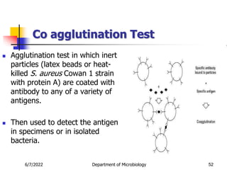 Co agglutination Test
 Agglutination test in which inert
particles (latex beads or heat-
killed S. aureus Cowan 1 strain
with protein A) are coated with
antibody to any of a variety of
antigens.
 Then used to detect the antigen
in specimens or in isolated
bacteria.
52
6/7/2022 Department of Microbiology
 
