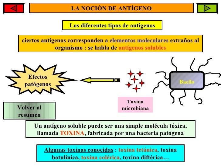 Los huevos de los helmintos como dar