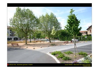 CAUE de l’Ain - Assemblée générale 17/06/09   Jassans-Riottier – Rénovation de la place Limelette
                                                                                   Calade Etudes
 