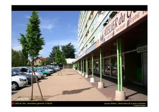 CAUE de l’Ain - Assemblée générale 17/06/09   Jassans-Riottier – Rénovation de la place Limelette
                                                                                   Calade Etudes
 