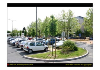 CAUE de l’Ain - Assemblée générale 17/06/09   Jassans-Riottier – Rénovation de la place Limelette
                                                                                   Calade Etudes
 