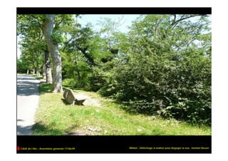 CAUE de l’Ain – Assemblée générale 17/06/09   Miribel - Défrichage à réaliser pour dégager la vue, montée Neuve
 