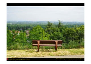 CAUE de l’Ain – Assemblée générale 17/06/09   Miribel - Défrichage pour dégager la vue, montée Neuve
 