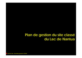Plan de gestion du site classé
                                                 du Lac de Nantua


CAUE de l’Ain - Assemblée générale 17/06/09
 