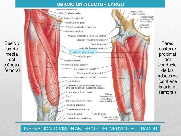 ag-mm-aductores