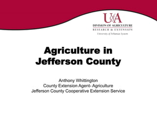 Agriculture in
Jefferson County
Anthony Whittington
County Extension Agent- Agriculture
Jefferson County Cooperative Extension Service
 
