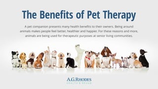 The Benefits of Pet Therapy 