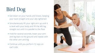 Full-Body Exercises: Strength Training for Seniors 