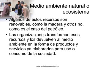 Medio ambiente natural o ecosistema Algunos de estos recursos son renovables, como la madera y otros no, como es el caso del petróleo. Las organizaciones transforman esos recursos y los devuelven al medio ambiente en la forma de productos y servicios ya elaborados para uso o consumo de la sociedad. 