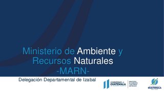 Ministerio de Ambiente y
Recursos Naturales
-MARN-
Delegación Departamental de Izabal
 
