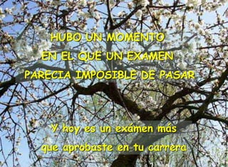 HUBO UN MOMENTO
EN EL QUE UN EXAMEN
PARECIA IMPOSIBLE DE PASAR
Y hoy es un exámen más
que aprobaste en tu carrera
 