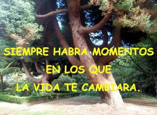 SIEMPRE HABRA MOMENTOS
EN LOS QUE
LA VIDA TE CAMBIARA.
 