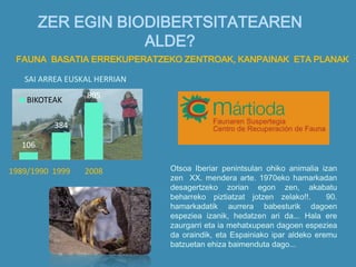 ZER EGIN BIODIBERTSITATEAREN
ALDE?
FAUNA BASATIA ERREKUPERATZEKO ZENTROAK, KANPAINAK ETA PLANAK
Otsoa Iberiar penintsulan ohiko animalia izan
zen XX. mendera arte. 1970eko hamarkadan
desagertzeko zorian egon zen, akabatu
beharreko piztiatzat jotzen zelako!!. 90.
hamarkadatik aurrera babesturik dagoen
espeziea izanik, hedatzen ari da... Hala ere
zaurgarri eta ia mehatxupean dagoen espeziea
da oraindik, eta Espainiako ipar aldeko eremu
batzuetan ehiza baimenduta dago...
106
384
805
1989/1990 1999 2008
BIKOTEAK
SAI ARREA EUSKAL HERRIAN
 