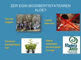 ZER EGIN BIODIBERTSITATEAREN
ALDE?
Hezi eta
ezagutu
Legeak
bete arazi
Kontsumo
jasangarriagoa
egin
Natura
baliabideak
eta lehengaiak
ez eralgi
 