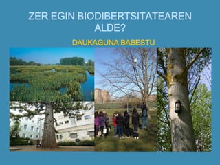 ZER EGIN BIODIBERTSITATEAREN
ALDE?
DAUKAGUNA BABESTU
 