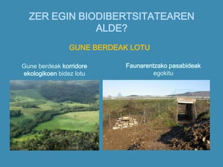 ZER EGIN BIODIBERTSITATEAREN
ALDE?
GUNE BERDEAK LOTU
Gune berdeak korridore
ekologikoen bidez lotu
Faunarentzako pasabideak
egokitu
 