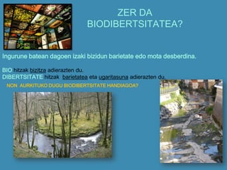 ZER DA
BIODIBERTSITATEA?
Ingurune batean dagoen izaki bizidun barietate edo mota desberdina.
BIO hitzak bizitza adierazten du.
DIBERTSITATE hitzak barietatea eta ugaritasuna adierazten du.
NON AURKITUKO DUGU BIODIBERTSITATE HANDIAGOA?
 